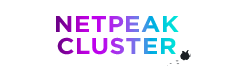 Netpeak Cluster